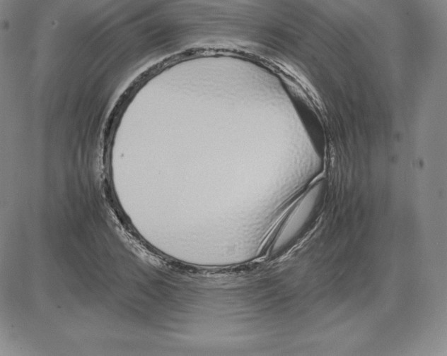 X0000080110976200701051325