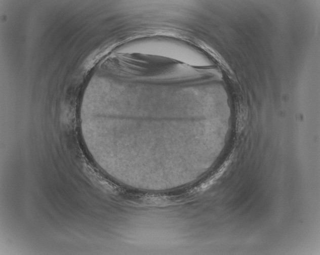 X0000080110977200701051325