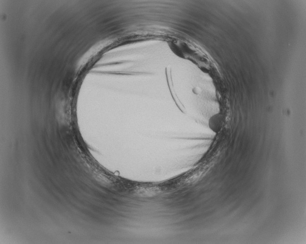 X0000080110978200701051325