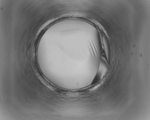 X0000080110981200701051325