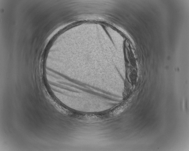 X0000080110983200701051325