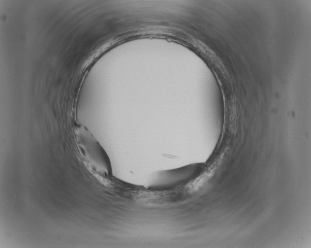 X0000080110985200701051325