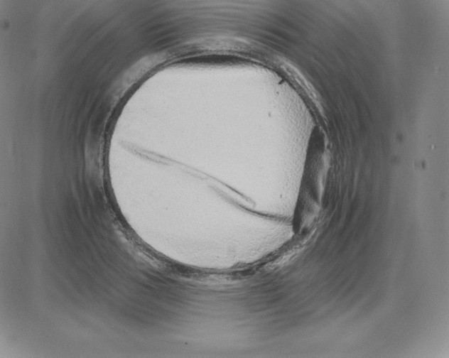 X0000080110986200701051325