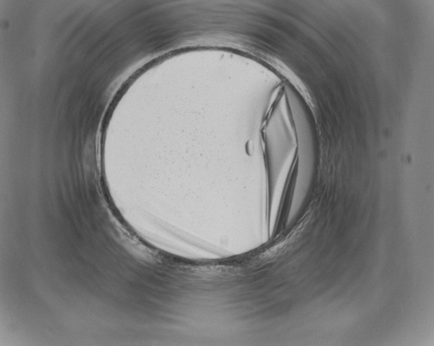 X0000080110988200701051325