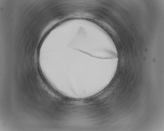 X0000080110990200701051325