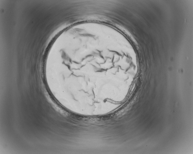 X0000080110991200701051325