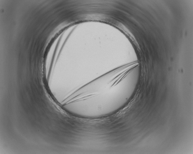 X0000080110992200701051325