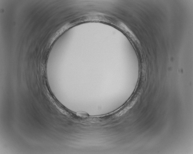 X0000080110993200701051325