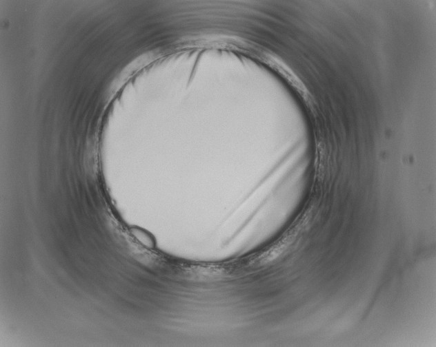 X0000080110994200701051325