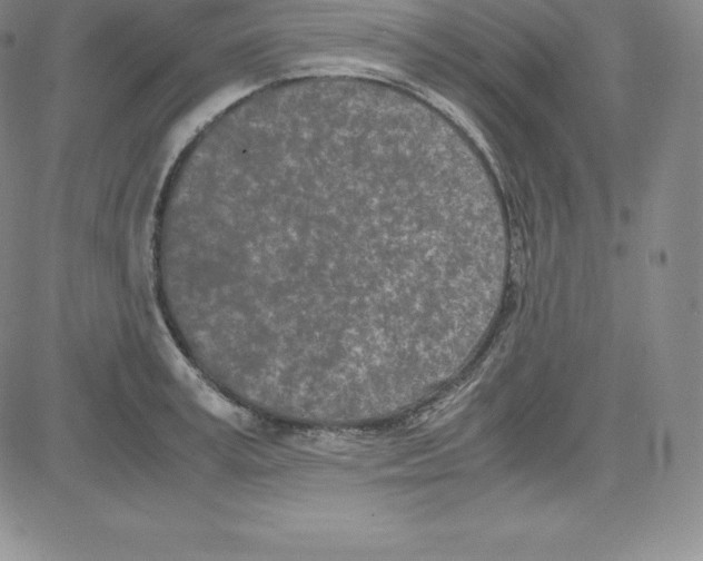 X0000080110995200701051325