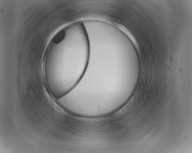 X0000080110996200701051325