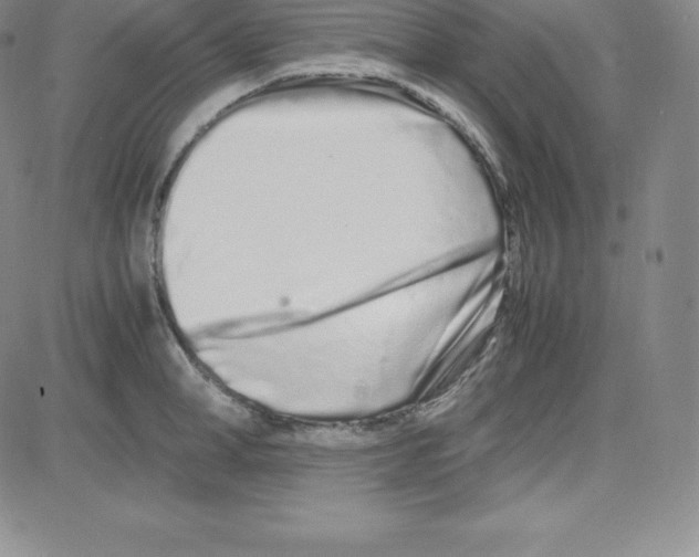 X0000080110998200701051325