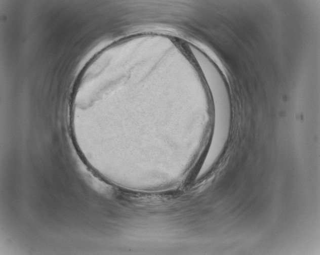 X0000080110999200701051325