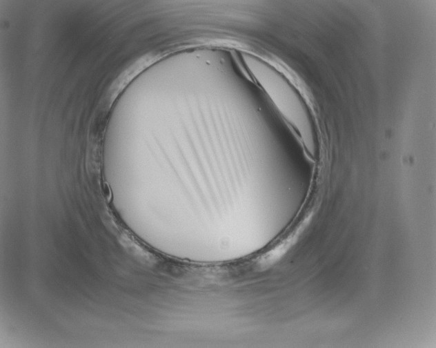 X0000080111001200701051325