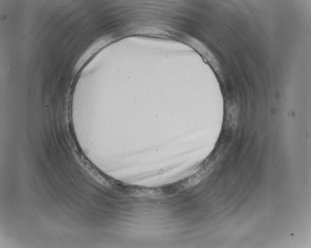 X0000080111002200701051325