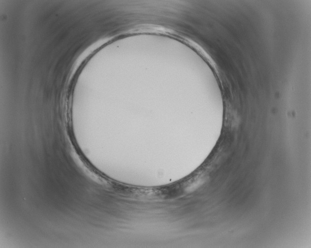 X0000080111003200701051325