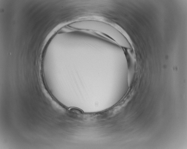 X0000080111005200701051325