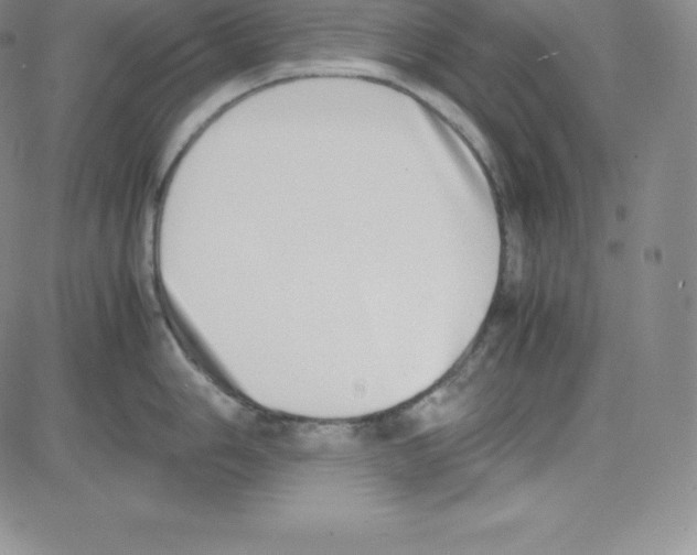 X0000080111006200701051325