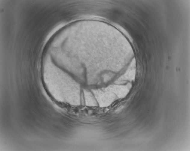 X0000080111007200701051325