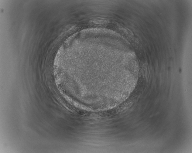 X0000080111009200701051324