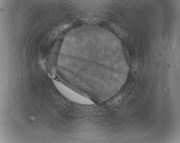 X0000080111010200701051324