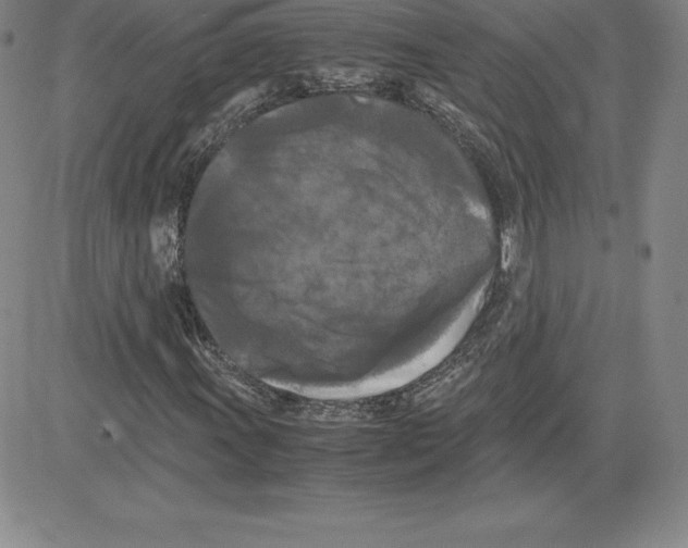 X0000080111011200701051324