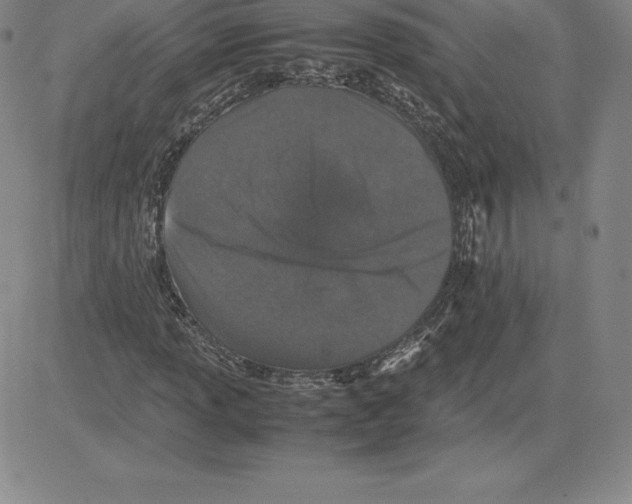 X0000080111013200701051324