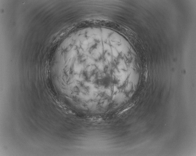 X0000080111014200701051324