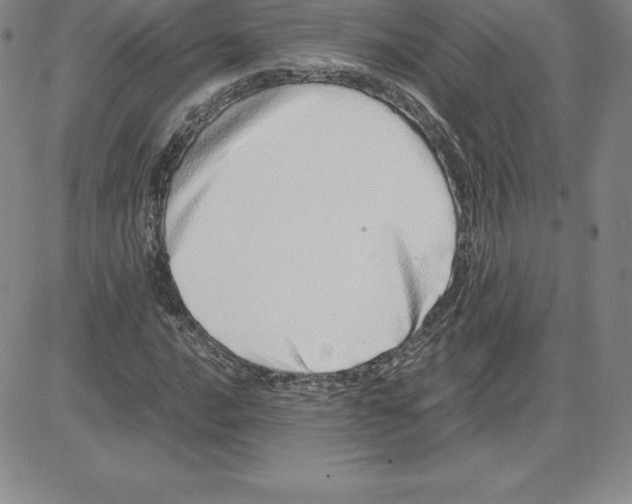 X0000080111016200701051324