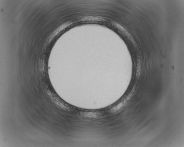 X0000080111017200701051324