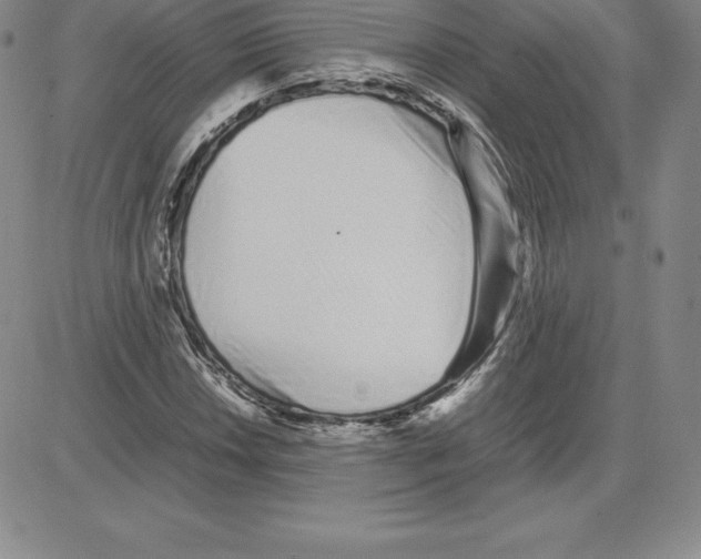 X0000080111018200701051324