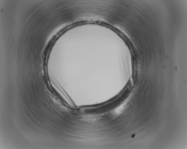 X0000080111022200701051324