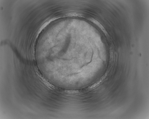 X0000080111023200701051324