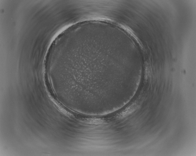 X0000080111024200701051324