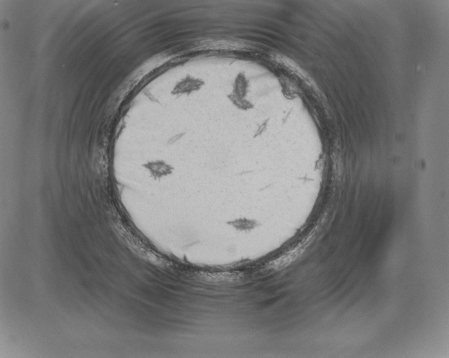 X0000080111025200701051324