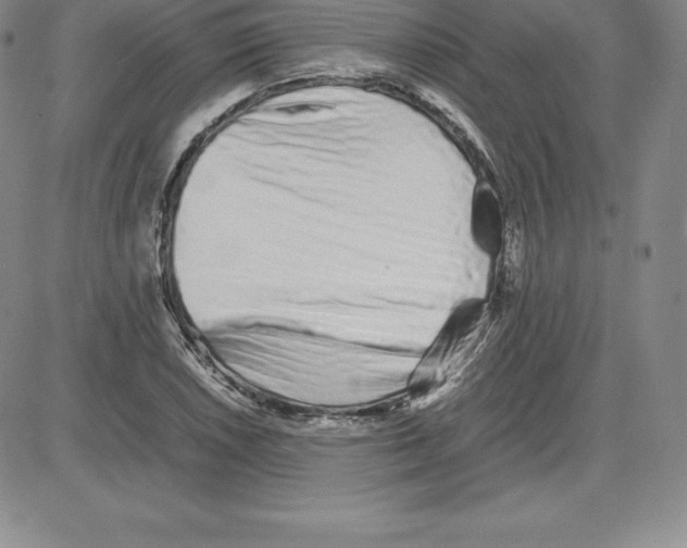 X0000080111026200701051324