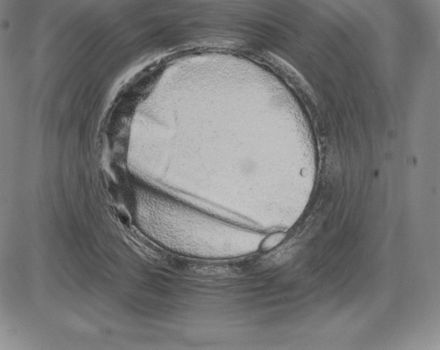 X0000080111027200701051324