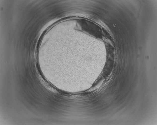 X0000080111028200701051324