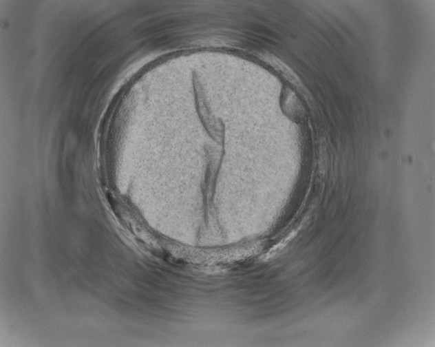 X0000080111031200701051324