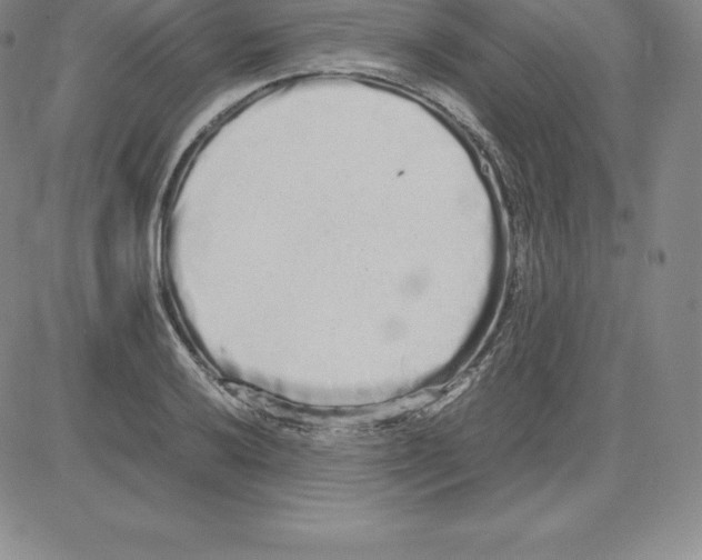 X0000080111032200701051324