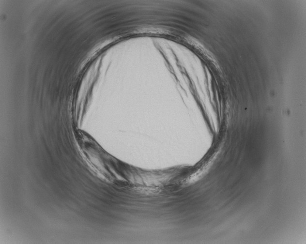 X0000080111033200701051324