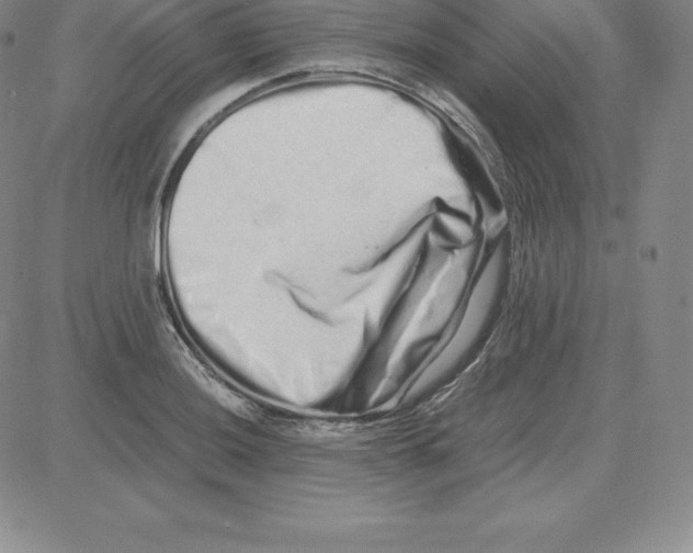 X0000080111036200701051324