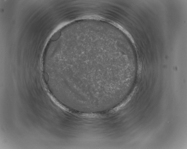 X0000080111037200701051324