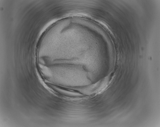 X0000080111038200701051324