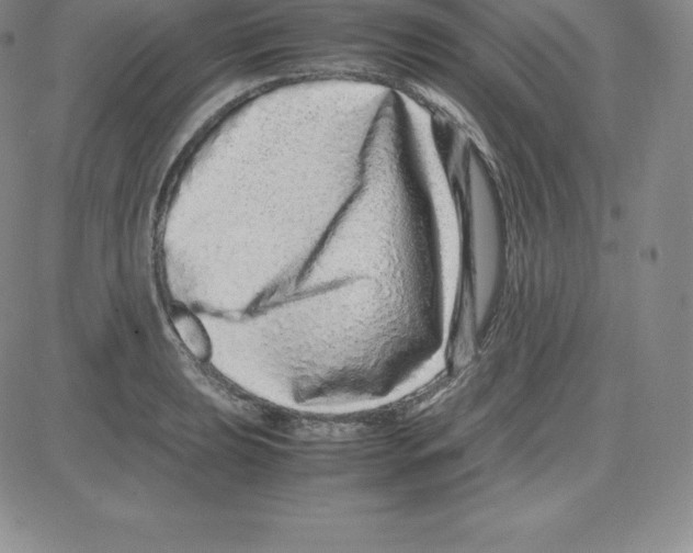 X0000080111039200701051324