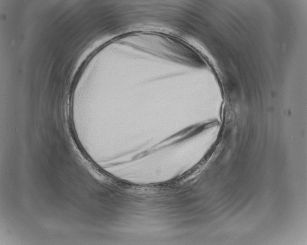 X0000080111040200701051324