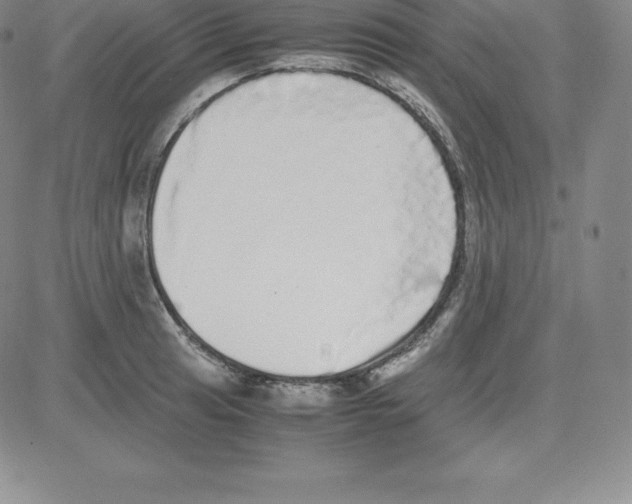 X0000080111041200701051324