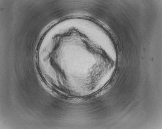 X0000080111042200701051324