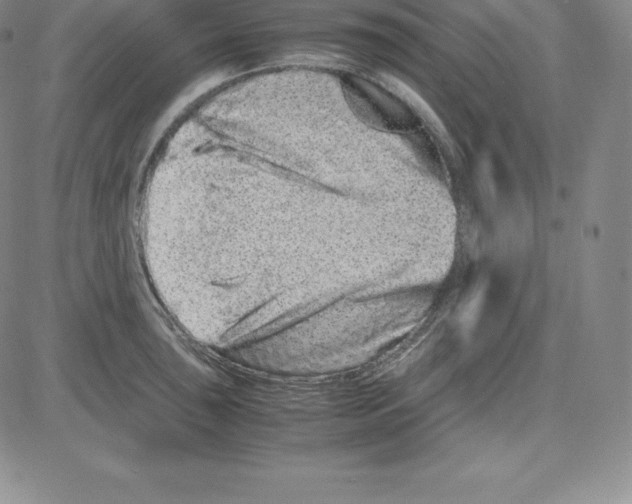 X0000080111043200701051324