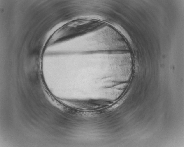 X0000080111044200701051324